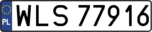 WLS77916