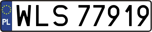 WLS77919