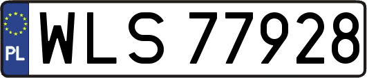 WLS77928