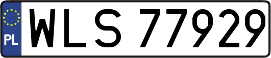 WLS77929