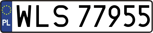 WLS77955