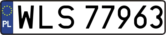 WLS77963