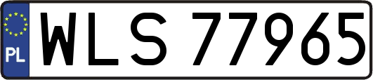 WLS77965