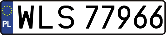 WLS77966