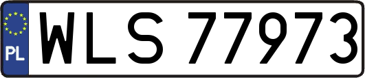 WLS77973