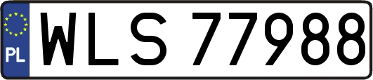 WLS77988