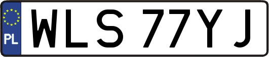 WLS77YJ