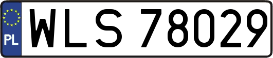 WLS78029