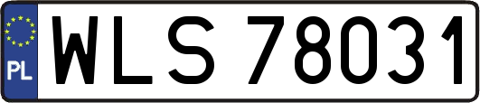 WLS78031