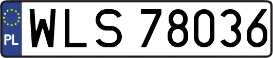 WLS78036