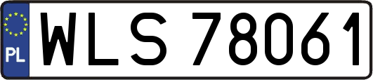 WLS78061