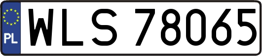 WLS78065