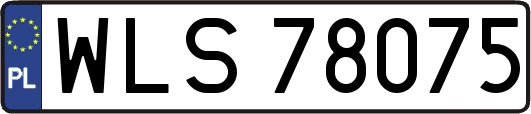 WLS78075