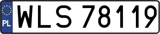 WLS78119