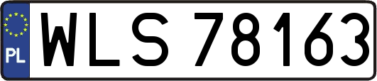 WLS78163