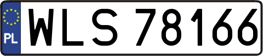 WLS78166