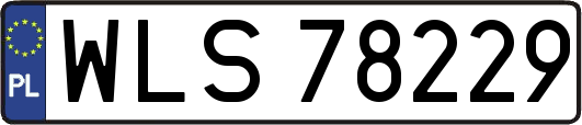 WLS78229