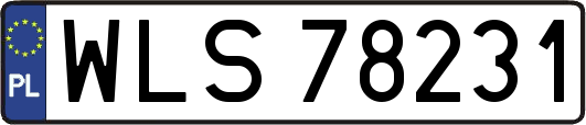 WLS78231