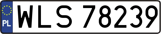WLS78239