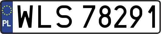 WLS78291