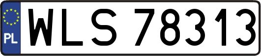 WLS78313