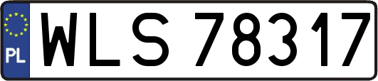 WLS78317