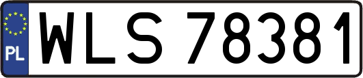 WLS78381