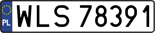 WLS78391