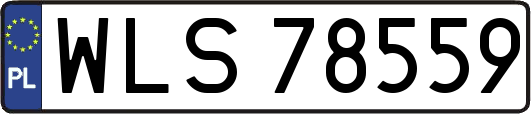 WLS78559