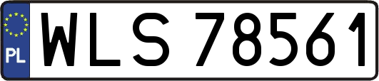 WLS78561