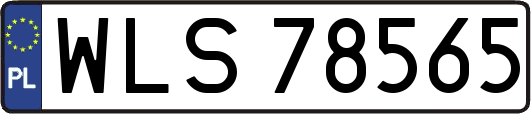 WLS78565