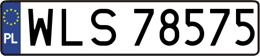 WLS78575
