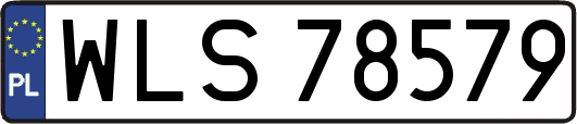 WLS78579