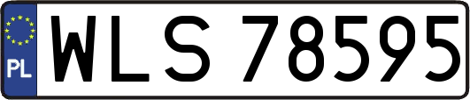 WLS78595