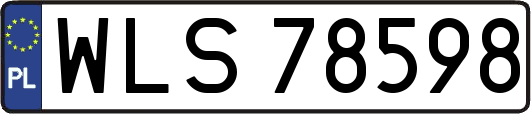 WLS78598