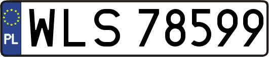 WLS78599