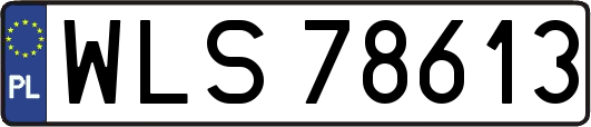WLS78613