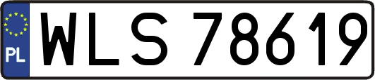 WLS78619