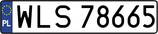 WLS78665