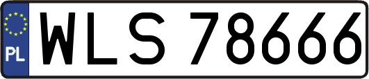WLS78666