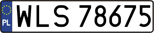 WLS78675
