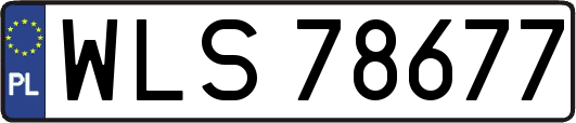 WLS78677
