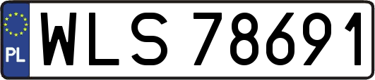 WLS78691