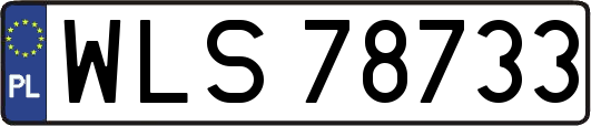 WLS78733