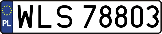 WLS78803