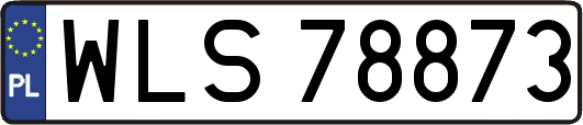 WLS78873