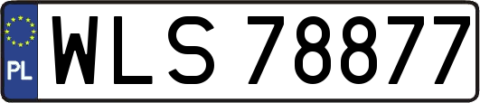 WLS78877