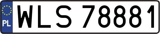 WLS78881