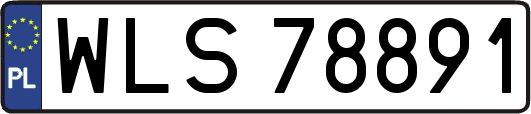WLS78891