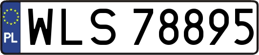 WLS78895